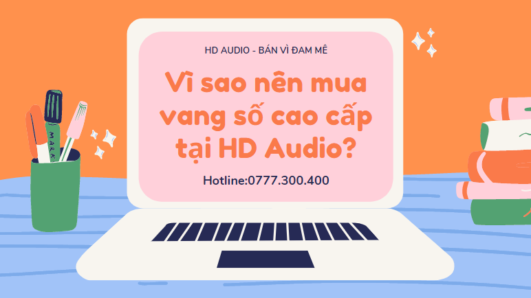 Vì sao nên mua vang số cao cấp tại HD Audio?